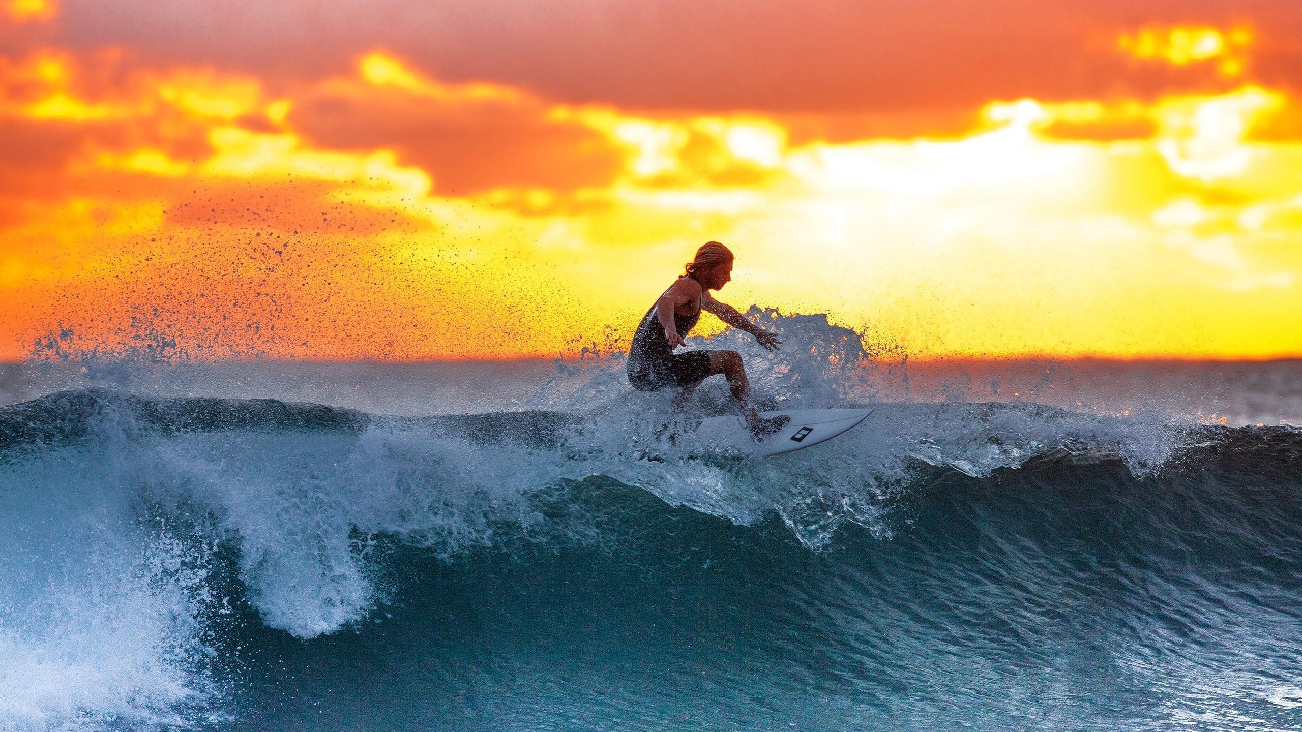 2026世界杯开球时间-Ming神迹！连续20场得分20+法国队极限挑战惊险取胜